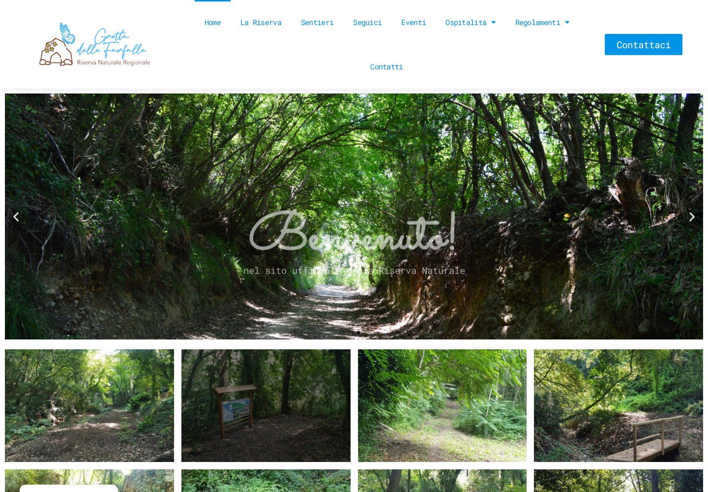 Grotta delle Farfalle — website on desktop