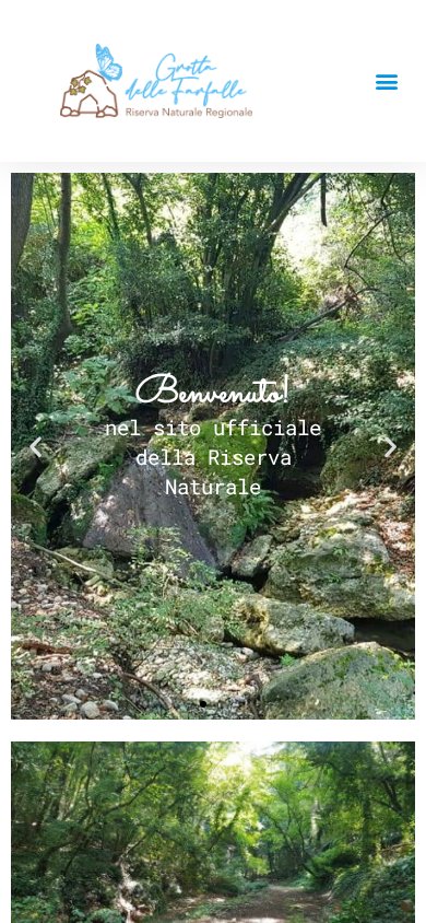Grotta delle Farfalle — website on mobile