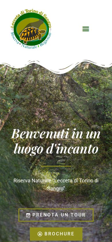 Lecceta di Torino di Sangro — website on mobile