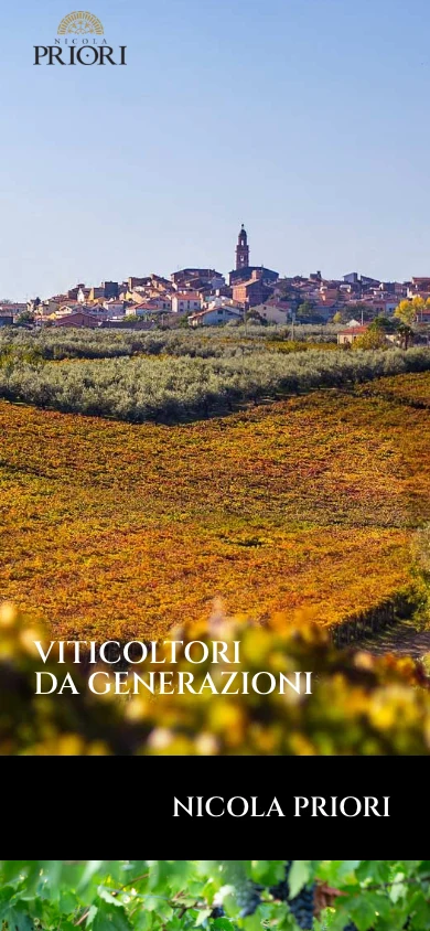 Vini Priori — sito su mobile